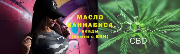 индика Волоколамск
