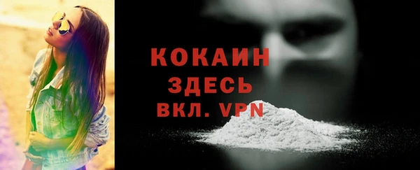 индика Волоколамск