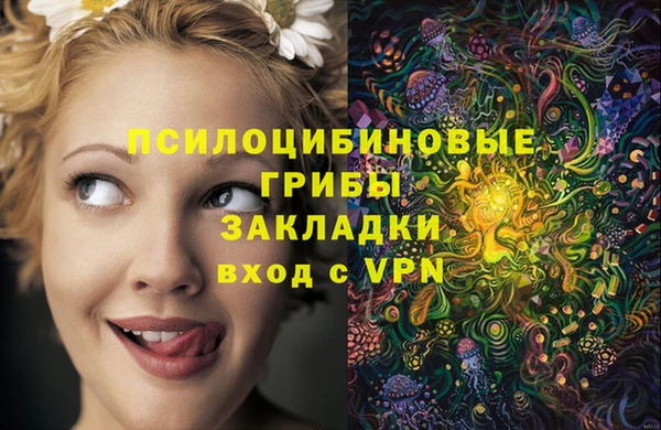 MESCALINE Вяземский