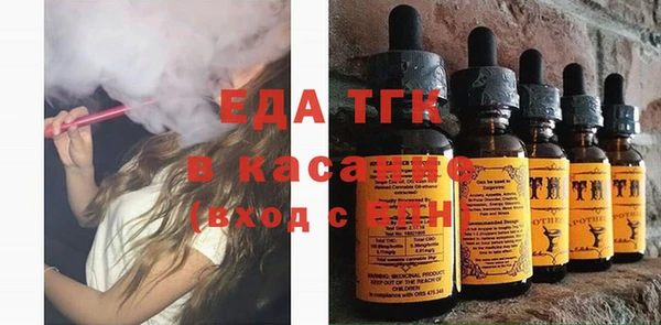 индика Волоколамск