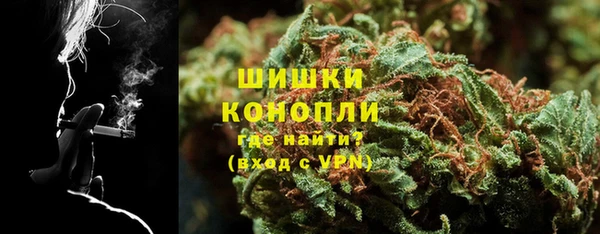 индика Волоколамск