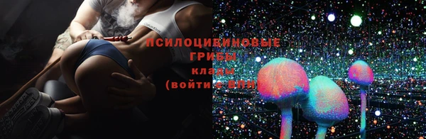 индика Волоколамск