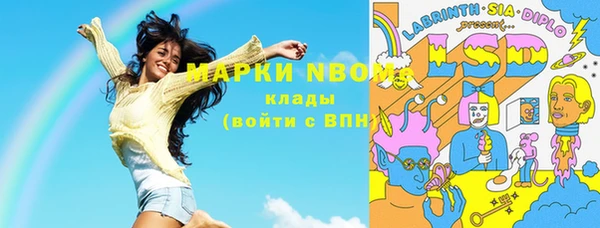 индика Волоколамск