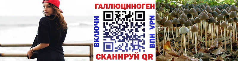 магазин  наркотиков  Змеиногорск  Псилоцибиновые грибы прущие грибы 